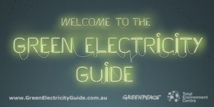 Greenpeace 'Green Electricity Guide'